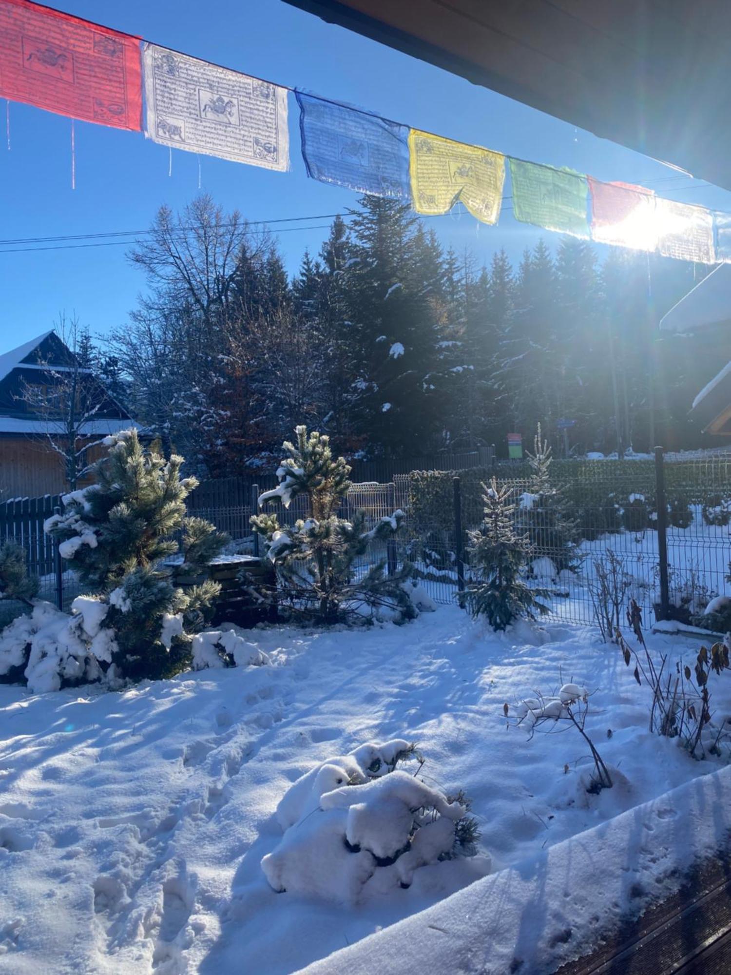 Punkt Koscielisko, Dom Gorski 800 M Od Doliny Koscieliskiej Extérieur photo